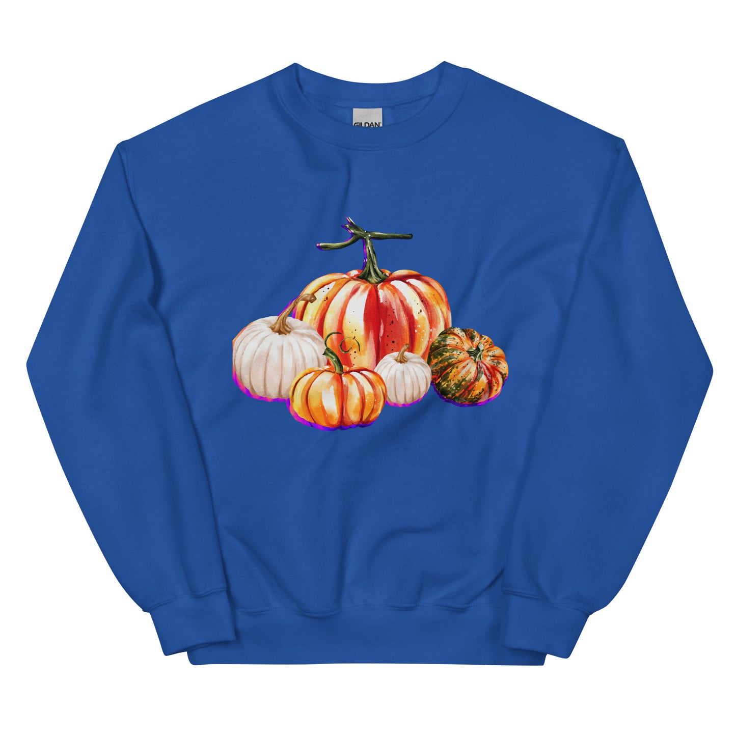 Pumpkin Sweatshirt / Fall Sweatshirt / Unisex Sweatshirt